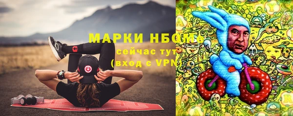 гашик Алзамай