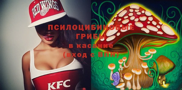 ешки Алексеевка
