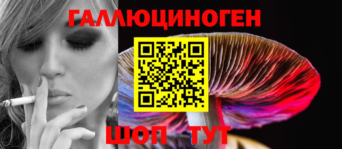 Псилоцибиновые грибы Psilocybe Екатеринбург