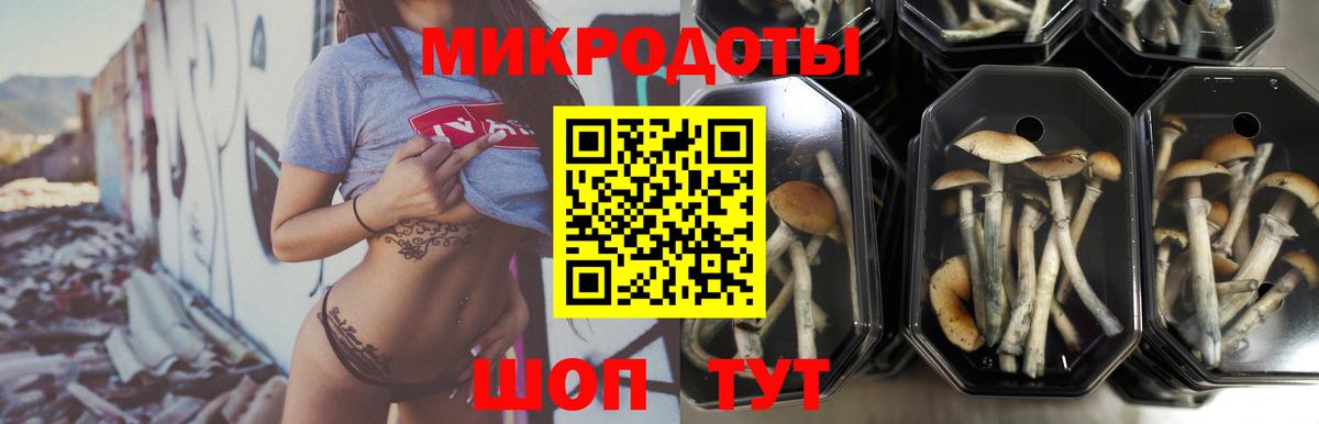 Псилоцибиновые грибы мухоморы  Екатеринбург  Псилоцибиновые грибы GOLDEN TEACHER 