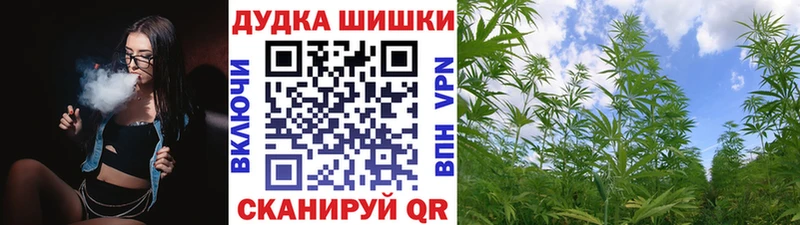 Конопля план  Купить  Екатеринбург 